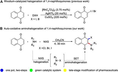 Metal-Free Aminohalogenation of Quinones With Alkylamines and NXS at Room Temperature